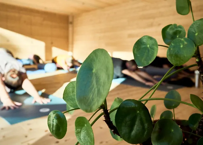 Habitat Apartamento *