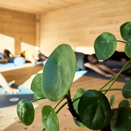 Habitat Appartement *